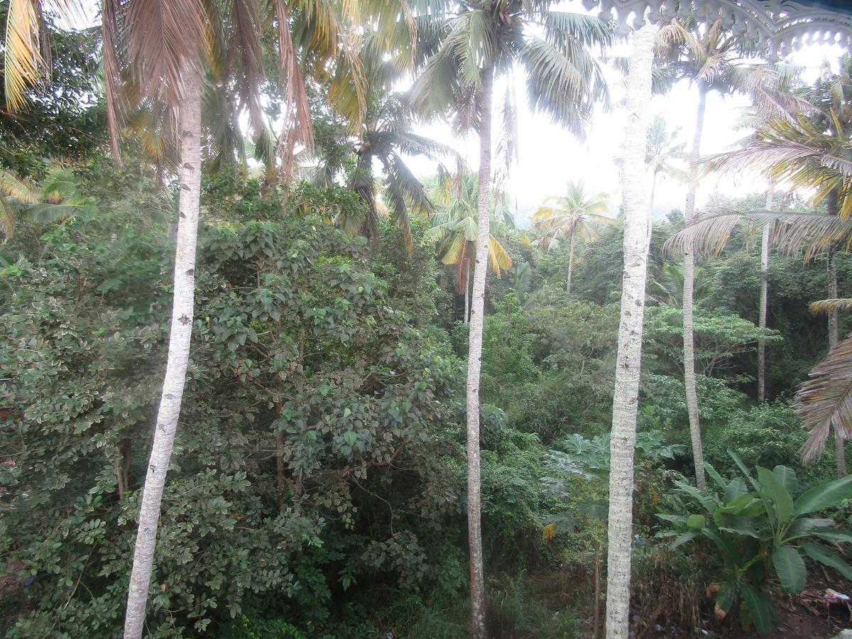 Blue Wave Resort Varkala Esterno foto